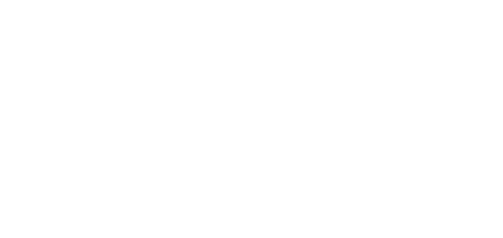 INDO INFOTECH SOLUTIONS